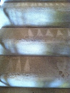 San-Mateo-Stairs-Carpet-Cleaning