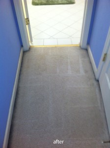 San-Mateo-Vomit-after-carpet